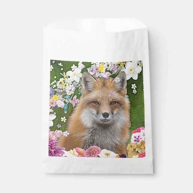 Sacolinha Fox do conto no Campo das Flores (Frente)