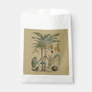 Sacolinha Fruta de Palma Tropical Antica Botânica