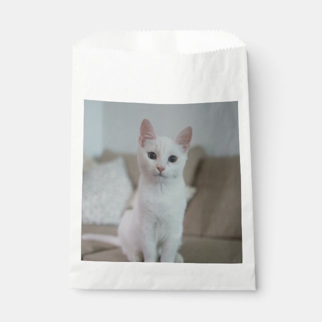 Sacolinha Gato branco | Zazzle_Growth. (Frente)
