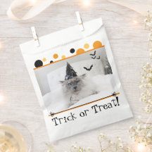 Gato De Halloween Spooky No Vestido De Chapéu De B