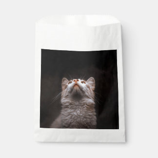 Sacolinha Gato Fofo e Felpudo Olhando para Cima Fundo Preto