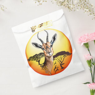 Sacolinha Gazelle African Antelope Wild Animal