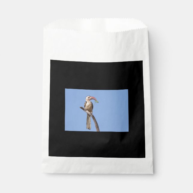 Sacolinha Hornbill (Frente)
