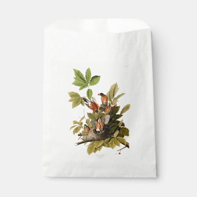 Sacolinha Ilustração de Pássaros Robin Wildlife da América d (Frente)
