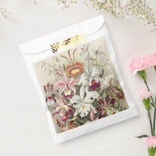 Sacolinha Impressão Botânica Vintage de Orquídea de Ernst Ha