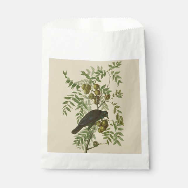 Sacolinha Impressão de Pássaro Grackle Roxo de Audubon Vinta (Frente)