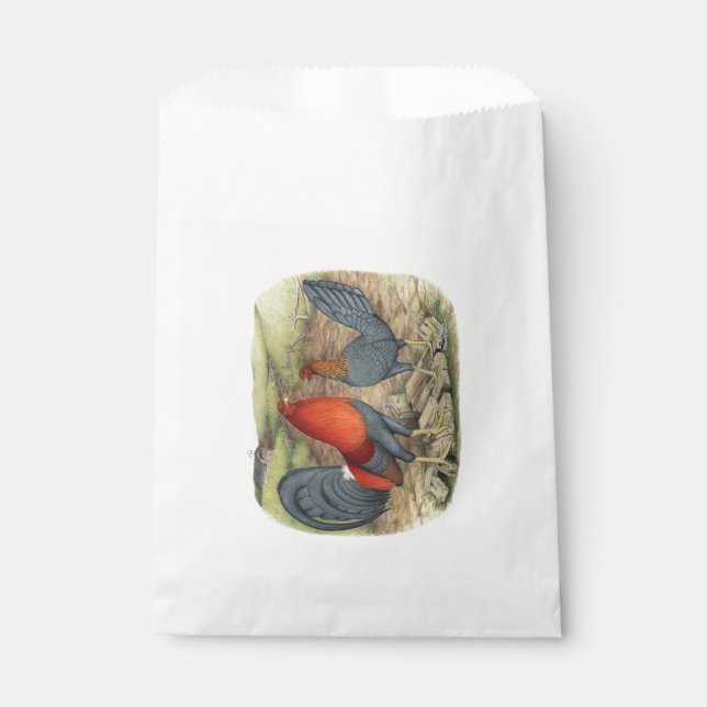 Sacolinha Leds Azuis do Jogo Americano (Frente)