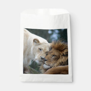 Sacolinha Lion e Lioness Nuzzling