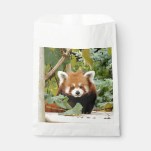 Sacolinha Panda Vermelha