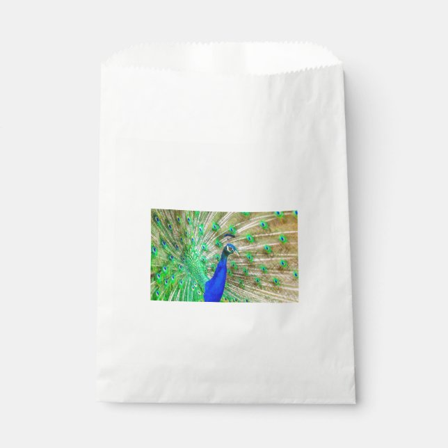 Sacolinha Peacock Plumage (Frente)