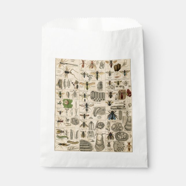 Sacolinha Pintura De Abelhas Insetos Insetos Vaza Natureza N (Frente)