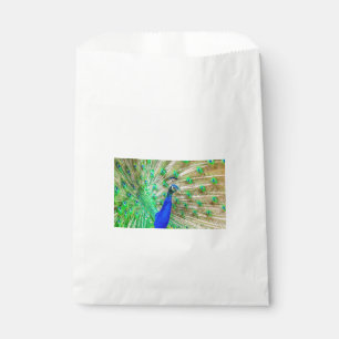 Sacolinha Plumagem de Peacock