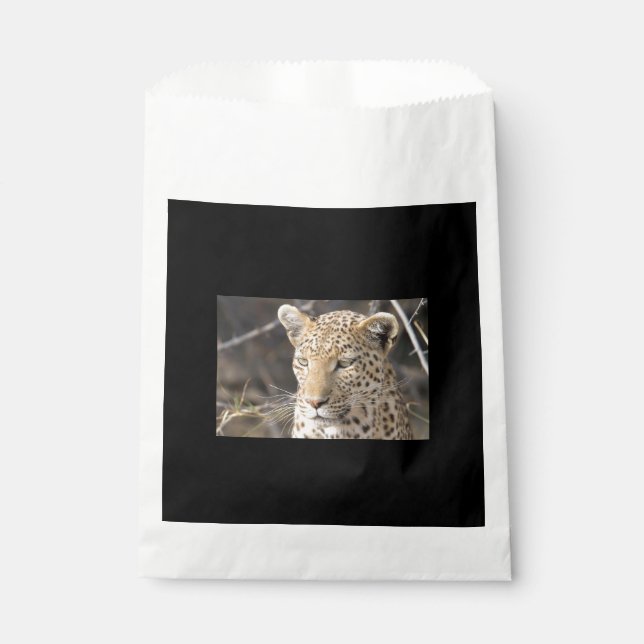 Sacolinha Retrato leopardo (Frente)