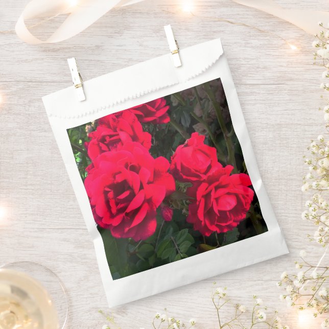 Sacolinha Rosas vermelhas florescendo (Cortado)