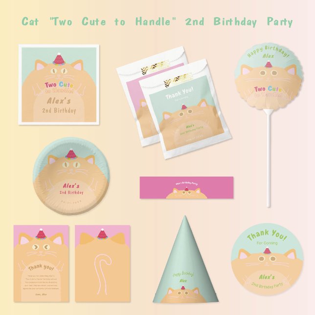 Sacolinha Saco de Favor de Aniversário Gato com Chapéu de Fe (Mint and peach cat party supplies with matching birthday hats, plates, and favor bags.)