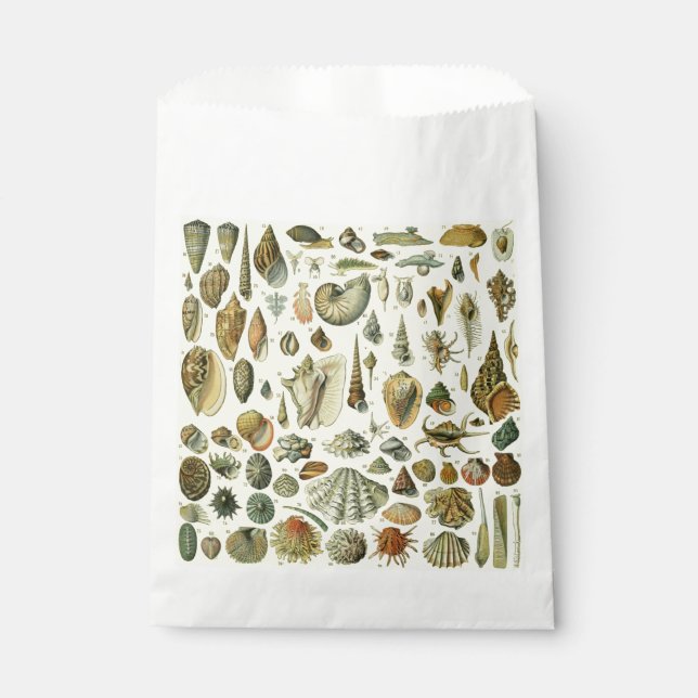 Sacolinha Seashell Shell Mollusk Clam Elegant Clam Art (Frente)