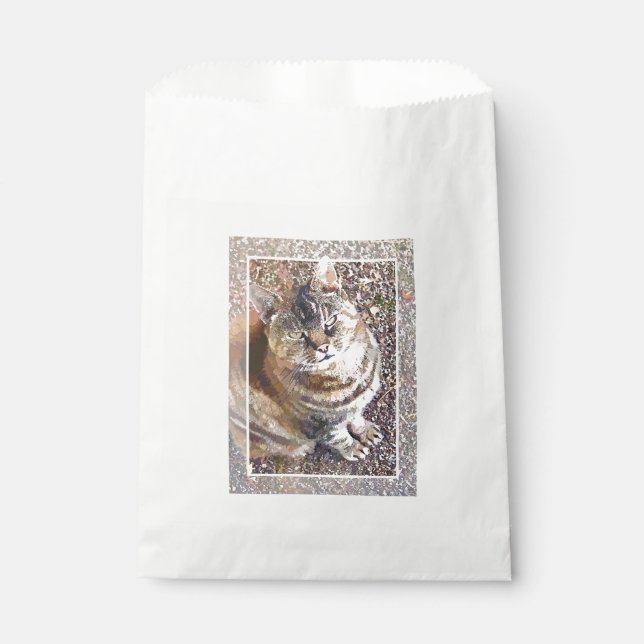 SACOLINHA TABELA CAT (Frente)