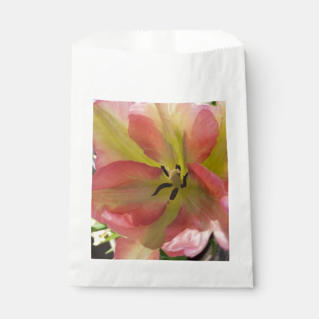 Sacolinha Tulipa Rosa e Amarela (Frente)