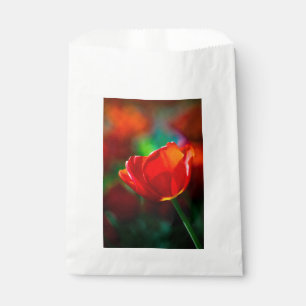 Sacolinha Tulipa vermelha - Mistério do florescimento