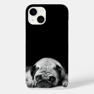 Sad Pug