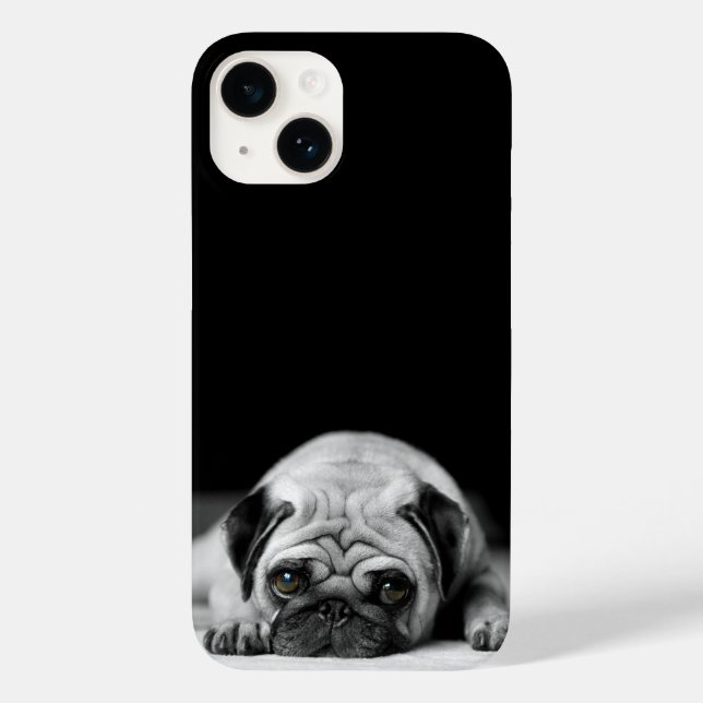 Sad Pug (Verso)