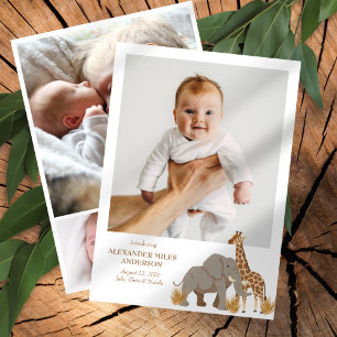 Safari Animais Fotos Novo Anúncio de Bebê