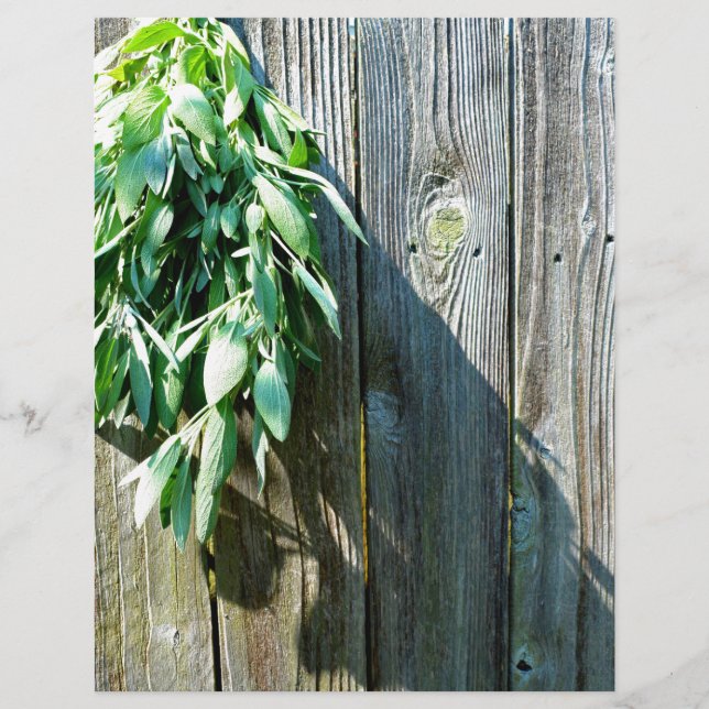 Sage Barn-wood, recortada recentemente (Frente)