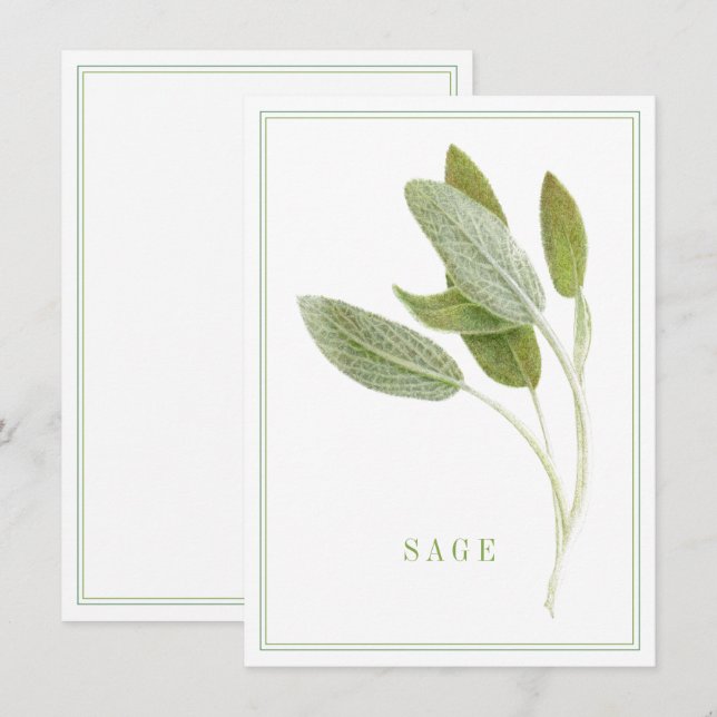 SAGE FRESCO 4,5x6,25 Cartão Plano (Frente/Verso)
