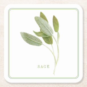 SAGE FRESCO Porta-copos de Papel Quadrado (+texto)
