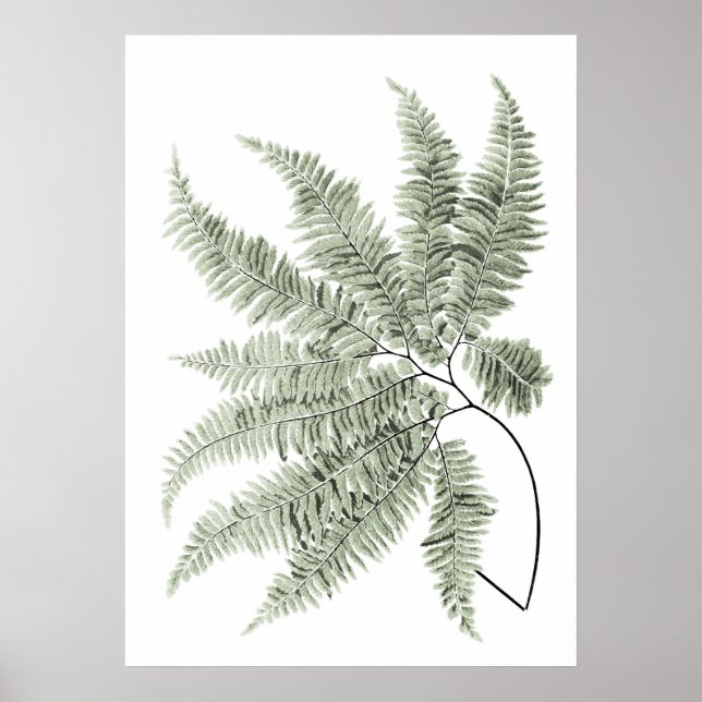 Sage Green Decor Fern Leaf Impressão nº 5 (Frente)