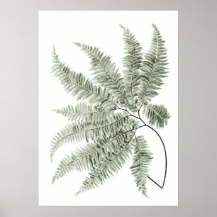 Sage Green Decor Fern Leaf Impressão no 5