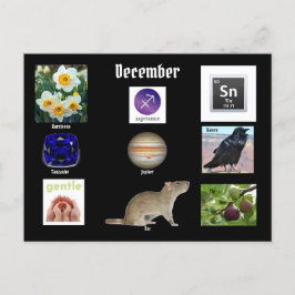 Sagitário Mês de Nascimento Dezembro CARTÃO POSTAL