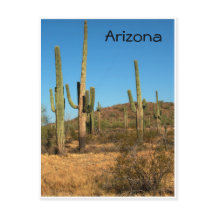 Saguaro cactus, Arizona - cartão postal