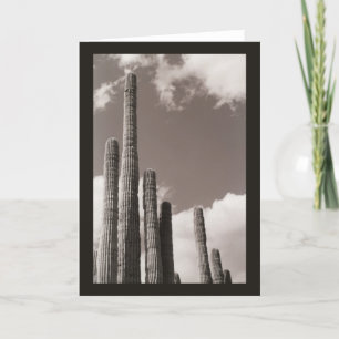 Saguaro Cactus Pipes Desertam Cartões de Saudação