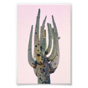 Saguaro Cutout   Impressão de fotografia