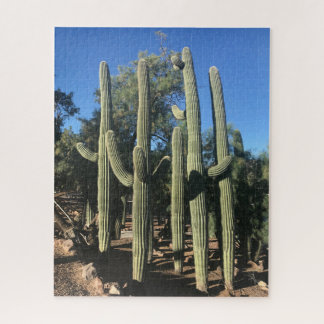 Saguaro Stand Quebra-cabeça