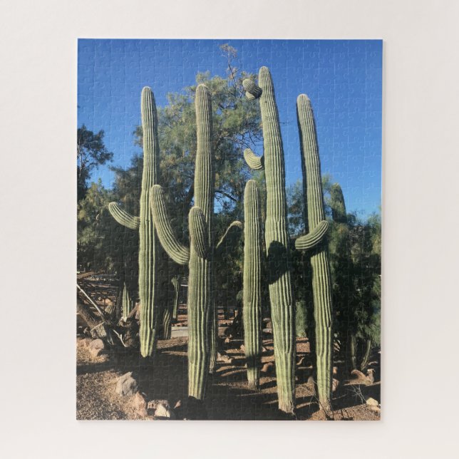 Saguaro Stand Quebra-cabeça (Vertical)