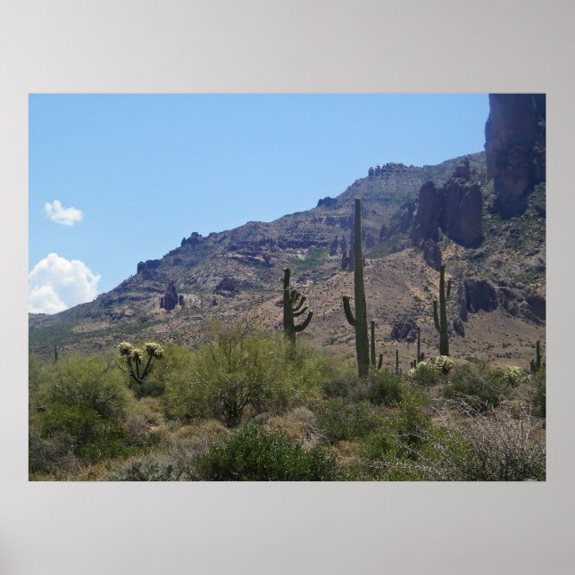 saguaros e montanhas impressão (Frente)