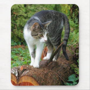 Saia em uma caminhada de gatos - Mousepad Gatinho