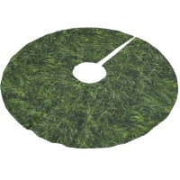 A grama é sempre uma saia mais verde da árvore de