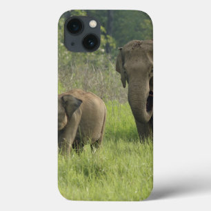 Saída da família do elefante indiano