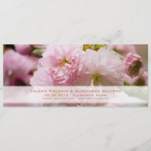 Sakura • Anúncio de Data de Salvamento
