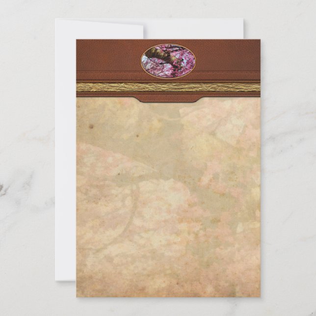 Sakura - Finalmente é Primavera (Frente)