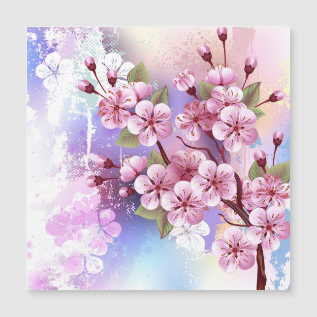 Sakura rosa no fundo da pintura (Frente)