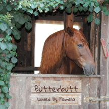 Sala Clássica Simulada de Muro Russo