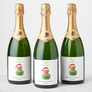 Salame de Natal fofo surpreendeu em verde fofinho