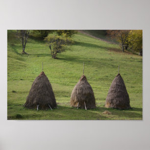 Saldos de palha de papel Poster de valor
