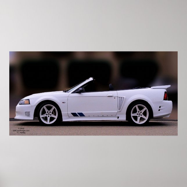 SALEEN MUSTANG POSTER (Frente)