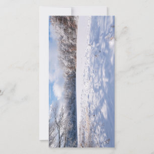 Salem Colinas Pond e Forest Winter Landscape