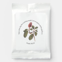 Salm 118:24 Canada Warbler